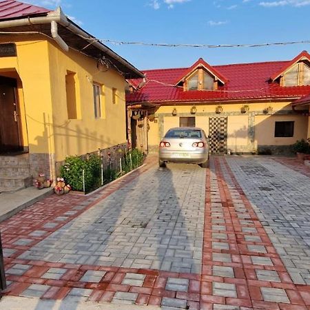 Pensiunea Casa Andreea Novaci-Străini Exterior foto