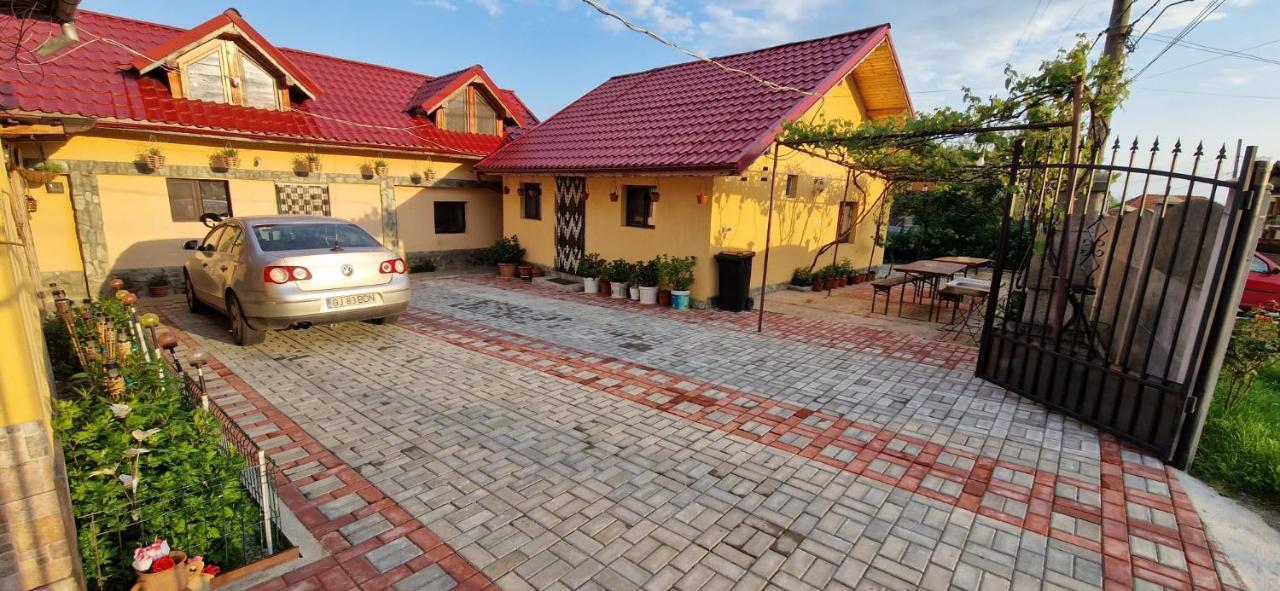 Pensiunea Casa Andreea Novaci-Străini Exterior foto